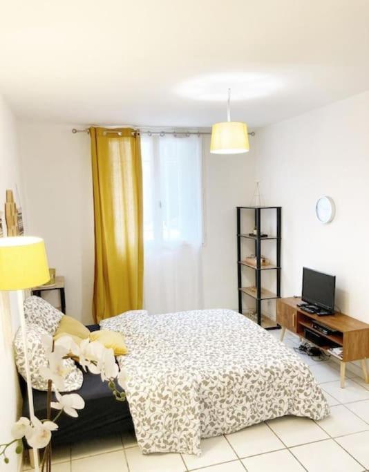 Studio A 5 Mn A Pied De La Gare Saint-Roch มงต์เปอลิเยร์ ภายนอก รูปภาพ